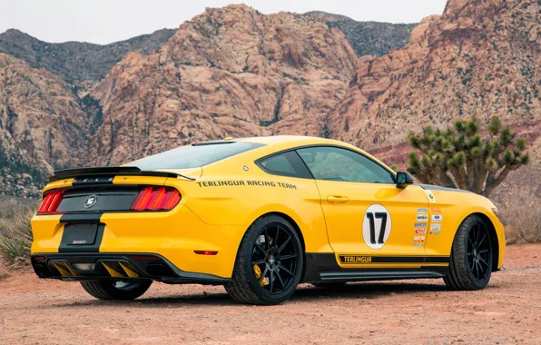 Mustang, Ford, Shelby, 2016, Terlingua