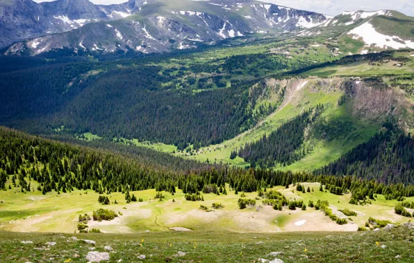 Лес, трава, деревья, горы, камни, долина, склон, Колорадо
