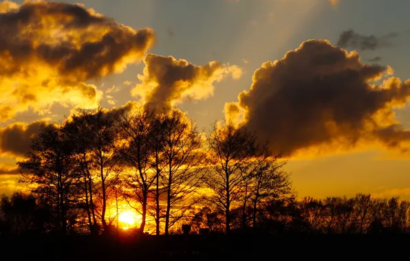 Dark, sky, sunset