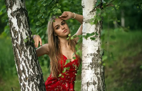Картинка лето, девушка, берёзы, arseniy.shapurov