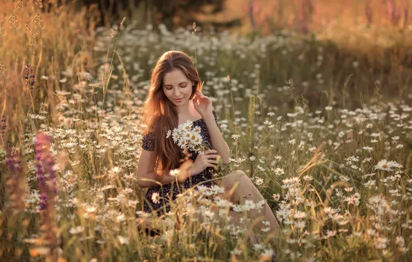 Картинка поле, лето, девушка, цветы, природа, ромашки, платье, шатенка