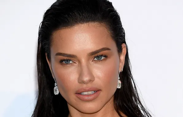 Взгляд, портрет, серьги, макияж, Адриана Лима, Adriana Lima, hair, look