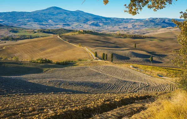 Картинка солнце, поля, Италия, плантации, Tuscany