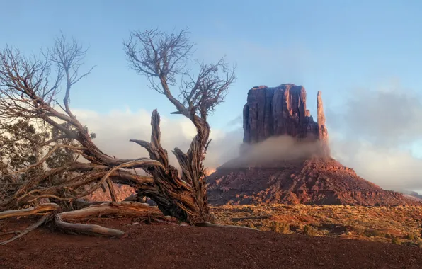 Картинка landscape, nature, Arizona, sunrise, valley, monument, mittens