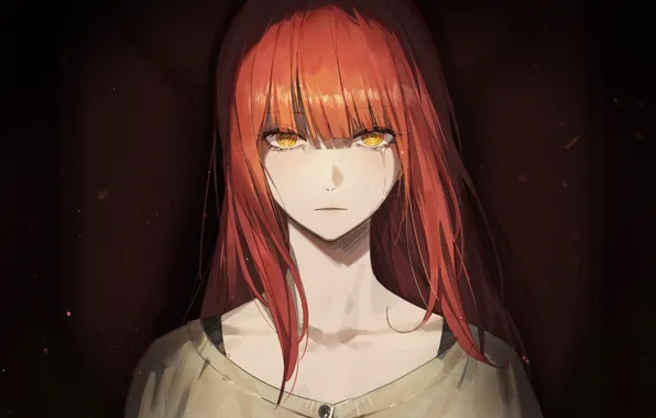 Девушка, слеза, Chainsaw Man, Makima