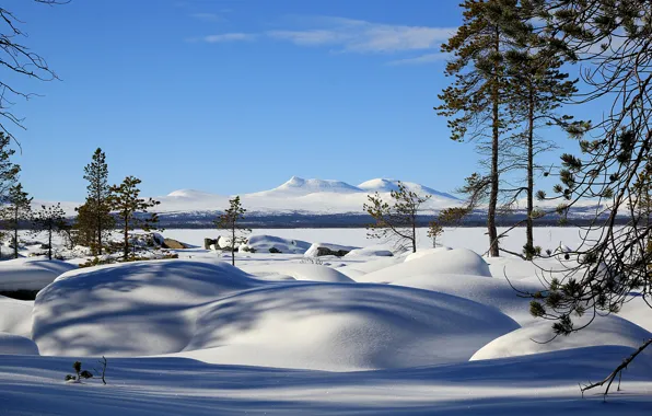 Зима, снег, Норвегия, Norway, Femund