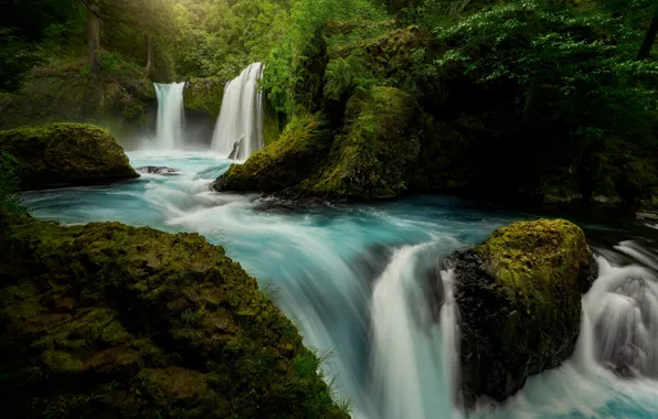 Лес, река, мох, водопады, Columbia River Gorge, Washington State, Little White Salmon River, Spirit Falls
