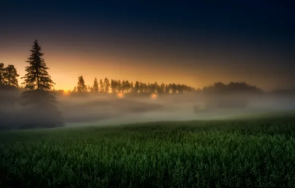 Картинка поле, закат, туман