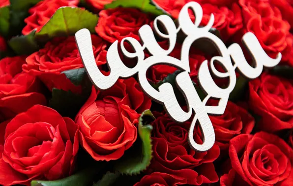 Love, розы, букет, красные, День Святого Валентина