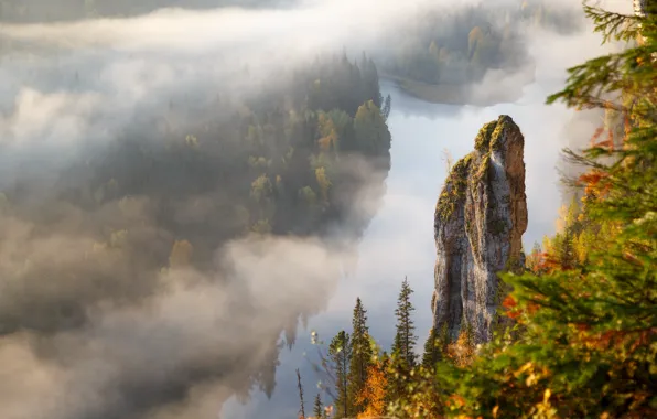 Картинка trees, rocks, fog