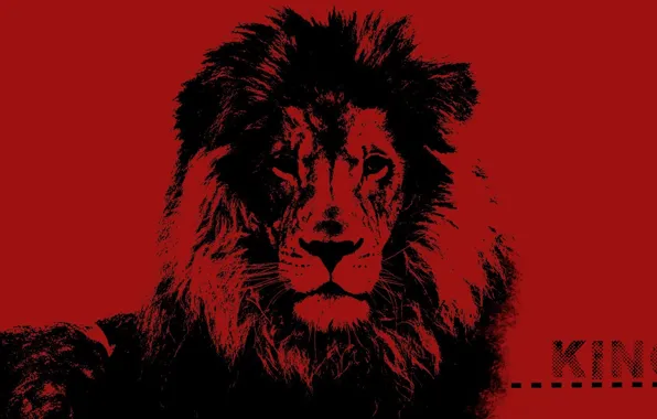 Desktop, red, fantasy, black, art, lion, pop art, King