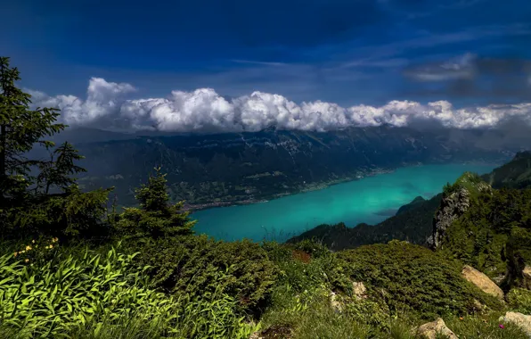 Картинка Швейцария, горы, Switzerland, Lake Brienz, Бернские Альпы, озеро, Бриенцское озеро, Bernese Alps