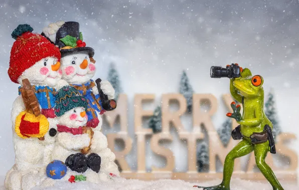 Картинка снег, лягушка, Рождество, фотограф, Новый год, снеговики