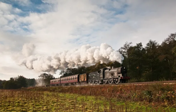 Природа, дым, поезд, паровоз, вагоны