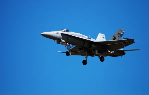Картинка небо, самолёт, палубный истребитель-бомбардировщик, ВМС США, «Хорнет», F/A-18 «Hornet»