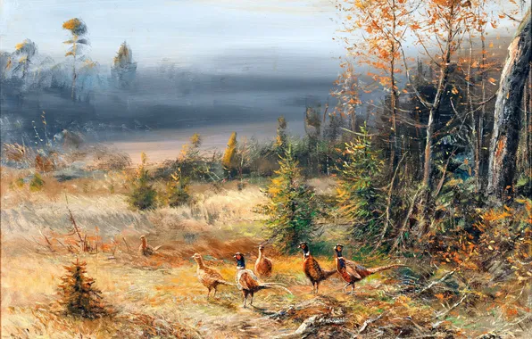 Трава, Деревья, Птицы, Картина, Фазаны, Немецкий художник, Wilhelm Lorenz, Вильгельм Лоренц