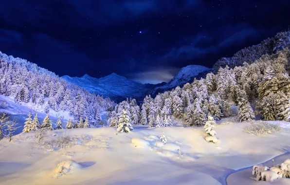 Небо, снег, деревья, горы, ночь, елки, Зима, синее