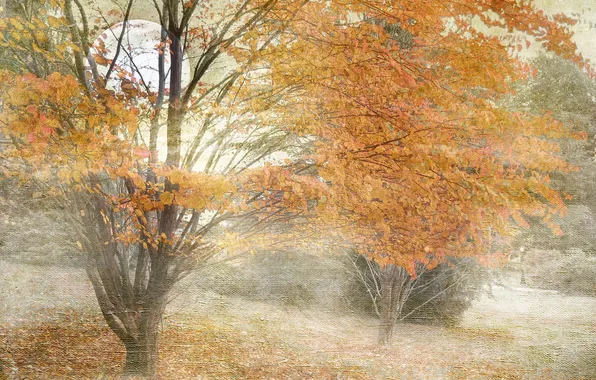Картинка осень, пейзаж, природа