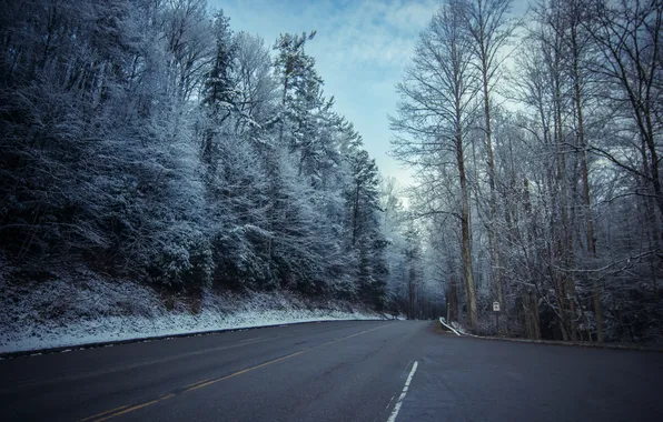 Иней, дорога, снег, деревья, пейзаж, природа, знаки