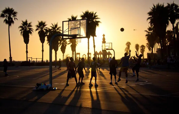 Summer, california, basketball, sunset, usa, los angeles, venice beach