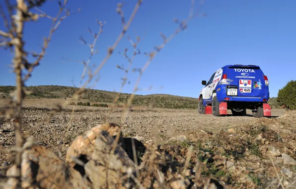 Синий, Toyota, Rally, Dakar, Тойота