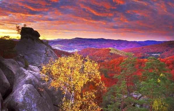 Картинка осень, лес, небо, облака, деревья, горы, камни, скалы