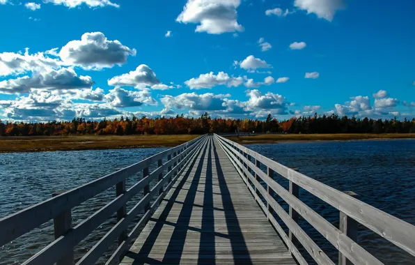 Лес, пейзаж, река, красота, простор, forest, river, landscape
