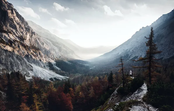 Картинка осень, горы, туман