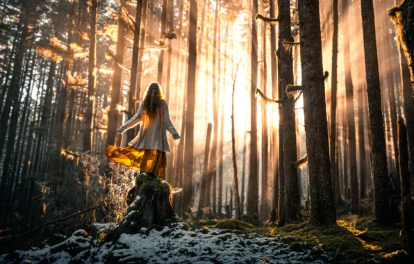 Картинка лес, девушка, солнце, снег, Lizzy Gadd