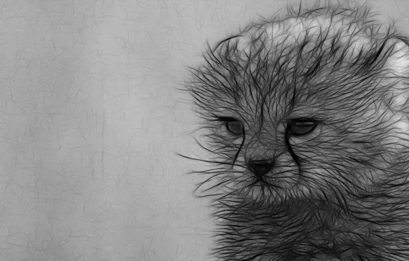 Котенок, рисунок, графика, карандашом
