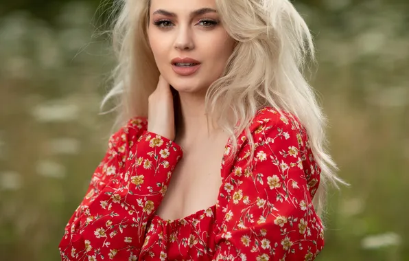 Взгляд, девушка, поза, рука, портрет, блондинка, длинные волосы, Roxana Gavrau