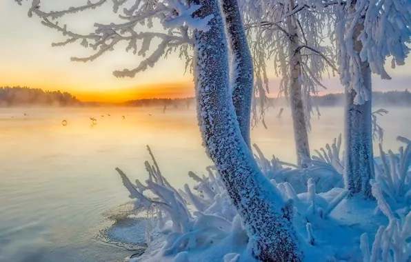 Картинка зима, снег, деревья, озеро, Финляндия, Finland, Southern Savonia, Южное Саво