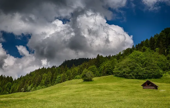 Небо, облака, деревья, пейзаж, горы, природа