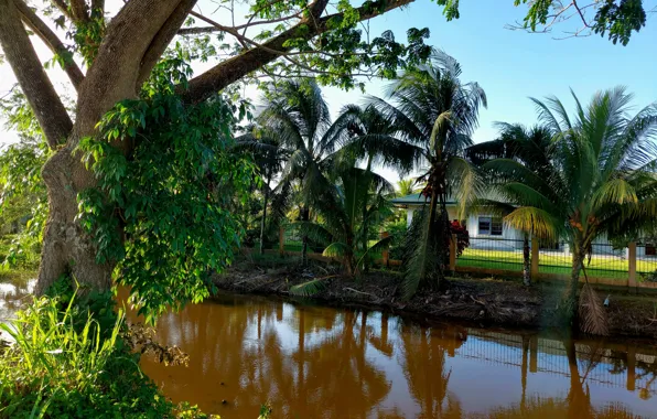 Nature in Suriname, Morino Ravenberg nature, Morino Ravenberg address in Suriname, Vijfde rijweg Suriname