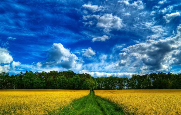 Wallpaper, nature, farm