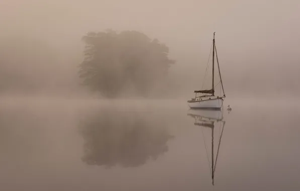 Картинка туман, озеро, лодка, утро, яхта