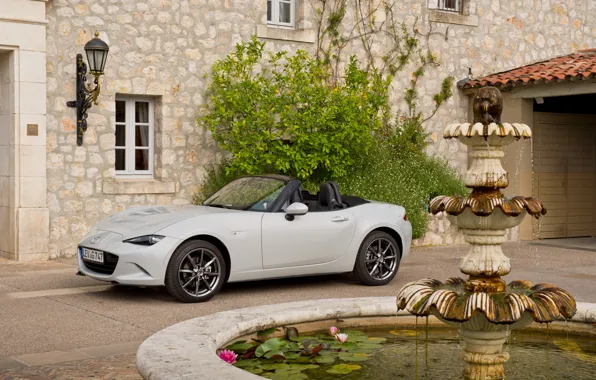 Картинка Mazda, Miata, мазда, US-spec, MX-5, 2015