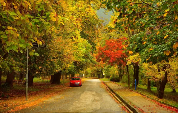 Картинка Дорога, Осень, Деревья, Улица, Fall, Листва, Autumn, Street