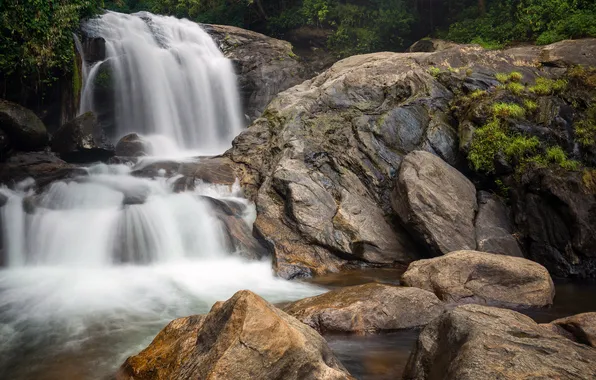 Картинка природа, водопад, джунгли, India, Kerala