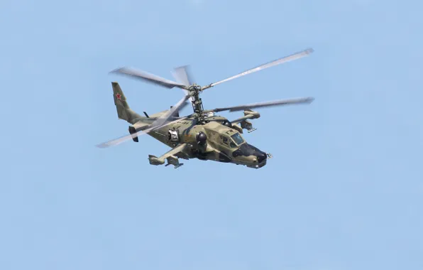 Вертолёт, Россия, Чёрная акула, ударный, Ка-50, одноместный, ОКБ Камова, Hokum A