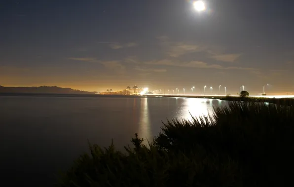 Картинка небо, ночь, мост, огни, озеро, луна