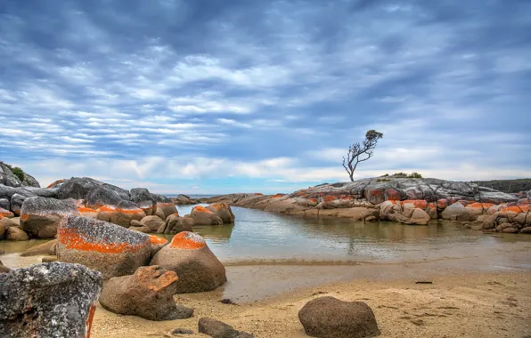 Море, берег, Tasmania, Binalong Bay