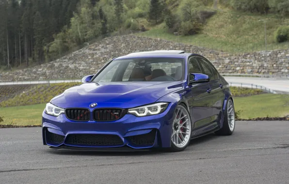 Картинка BMW, Blue, Sedan, F82, Sight