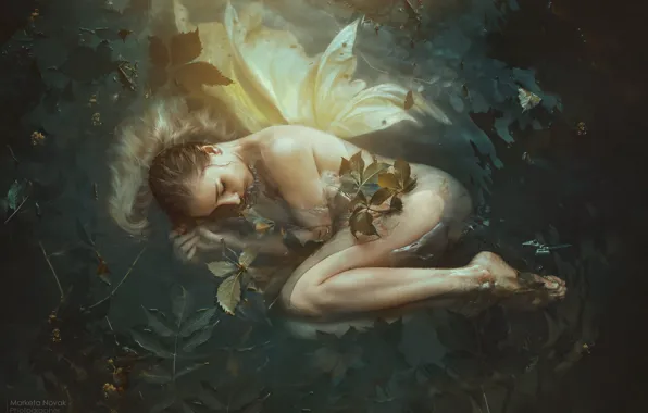 Картинка листья, вода, девушка, поза, настроение, сон, ситуация, фея