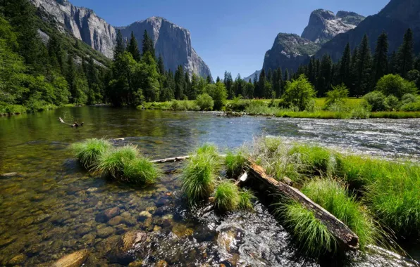 Картинка trees, mountains, lake