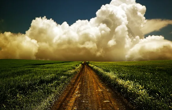 Дорога, поле, облако