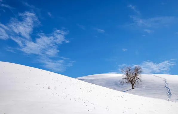 Картинка sky, winter, hill