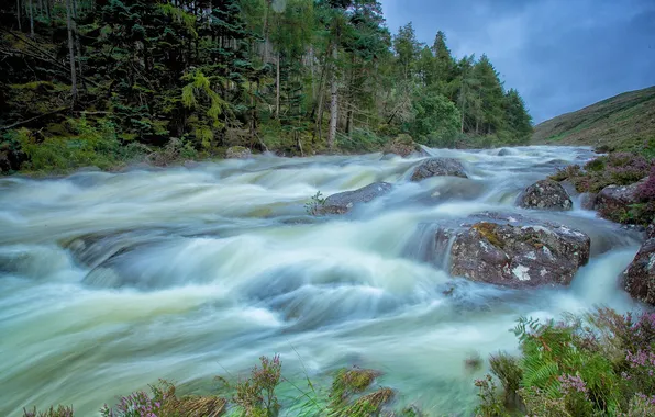 Лес, небо, горы, река, камни