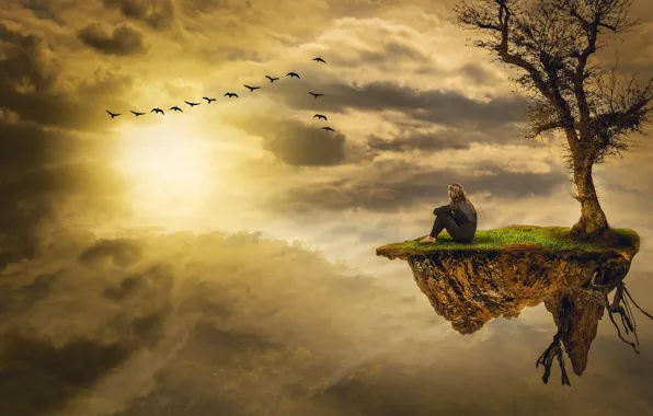 Картинка девушка, обрыв, птица