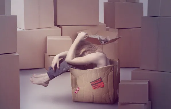Кот, девушка, коробка, печаль, картон, переезд, хрупкая
